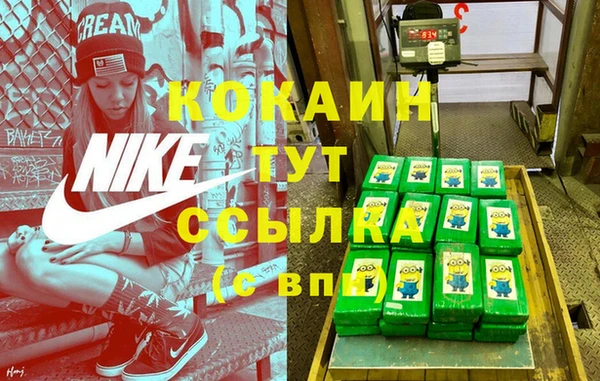 гашик Магадан