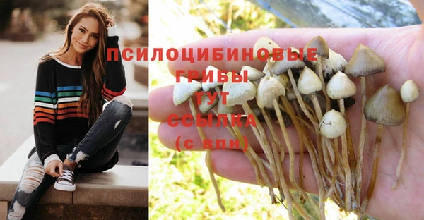бошки Майский