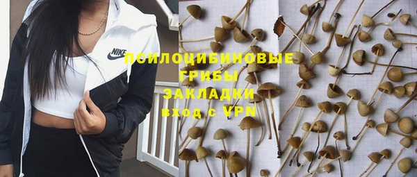 гашик Магадан