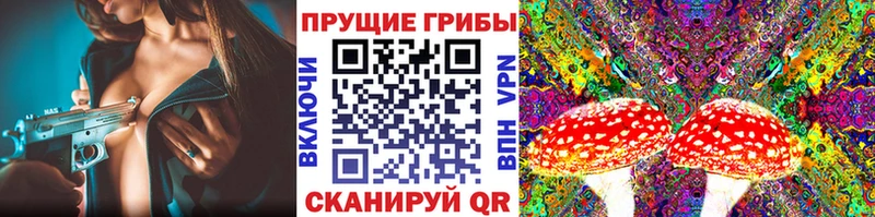 купить   Серафимович  Галлюциногенные грибы Magic Shrooms 