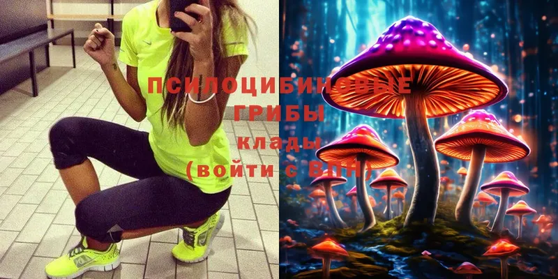 Галлюциногенные грибы MAGIC MUSHROOMS  Серафимович 